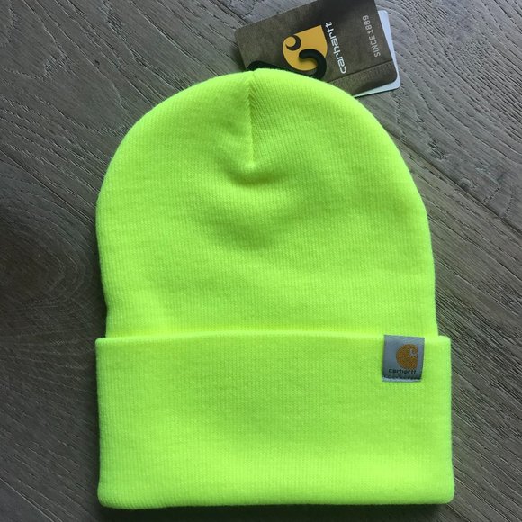 Carhartt Other - NWT! Carhartt Thin Rib Knit Cuffed Beanie (OS)